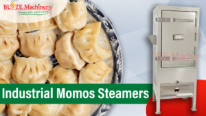 Industrial Momos Steamer
