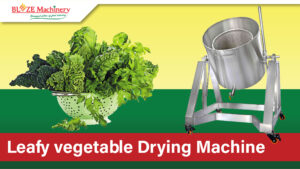 Leafy vegetable Drying Machine