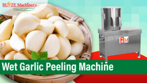 Wet Garlic Peeling Machine